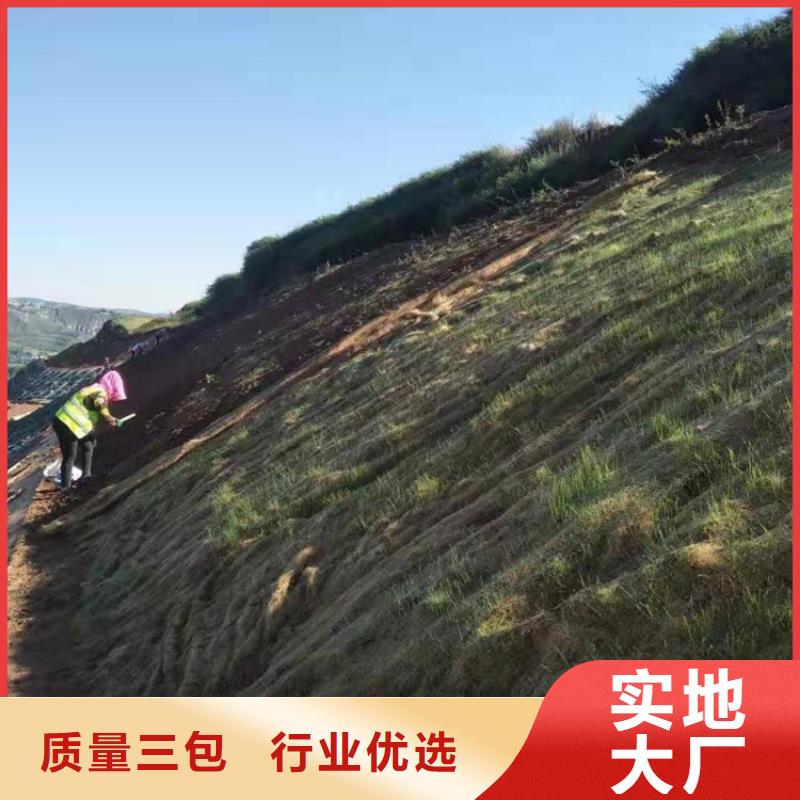 椰丝毯螺旋管用好材做好产品