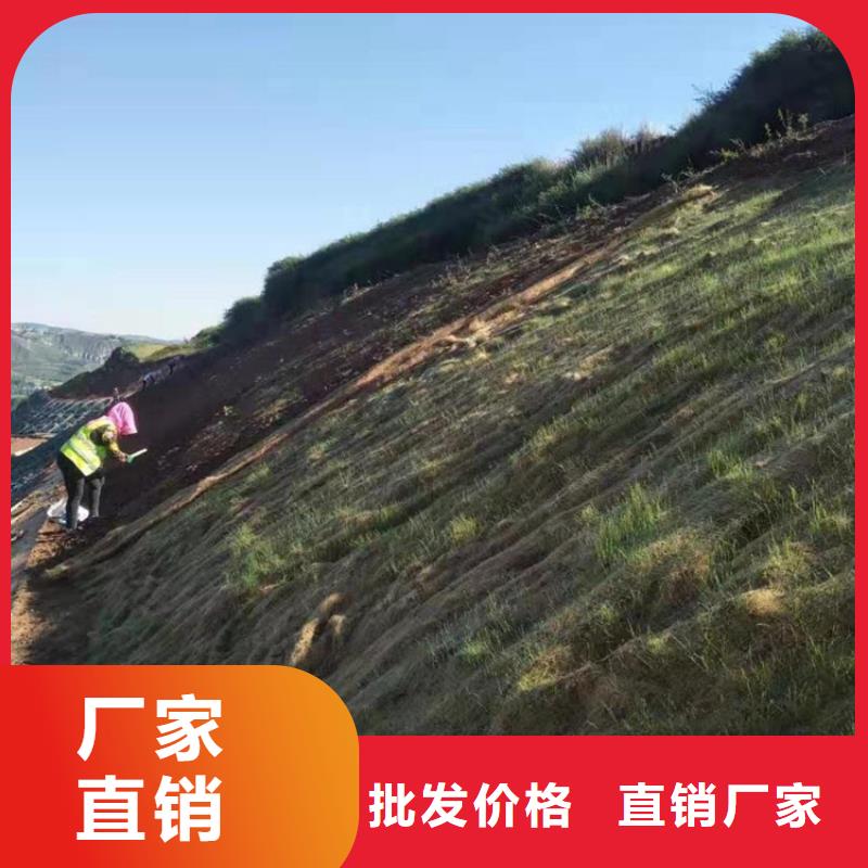 椰丝毯土工膜0中间商差价