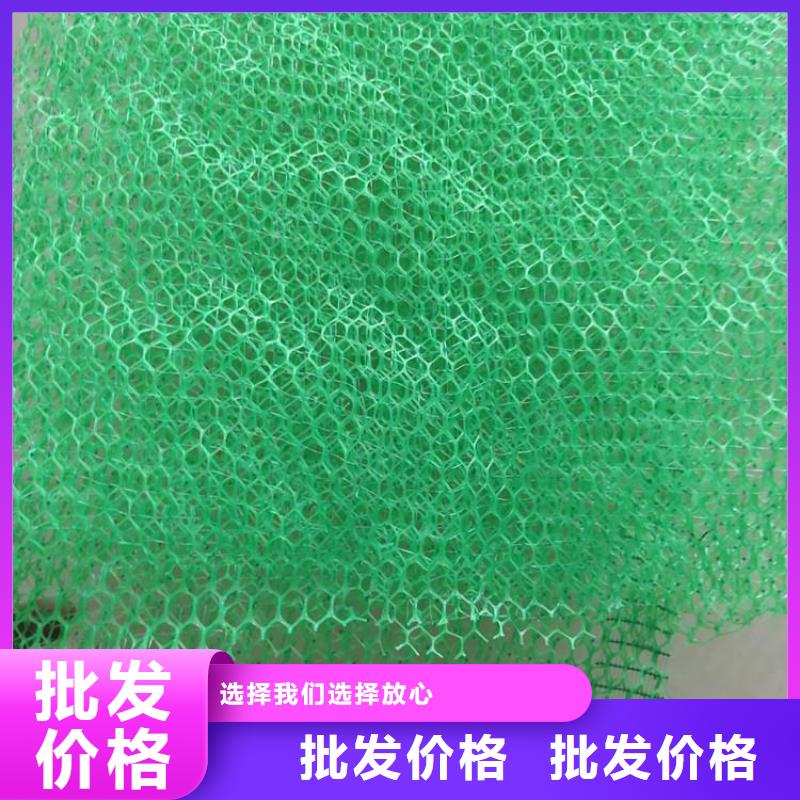 三维植被网【土工格栅】严格把控每一处细节