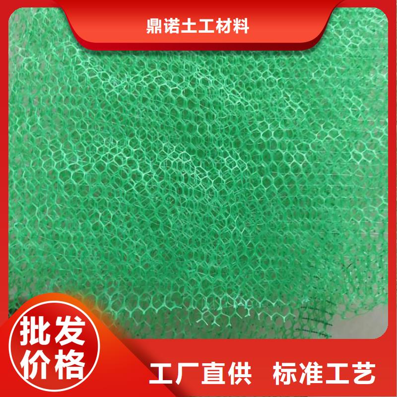 三维植被网【玻纤土工格栅】实力雄厚品质保障