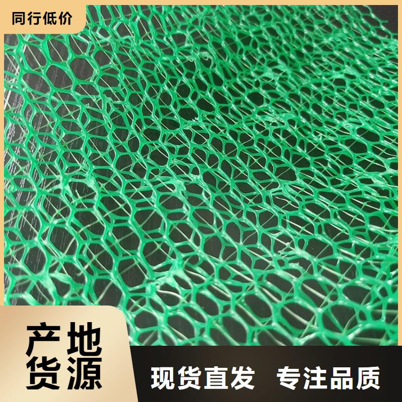 三维植被网编织布现货批发