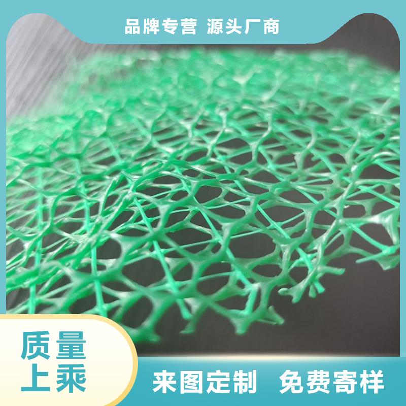 三维植被网【HDPE土工膜】生产型