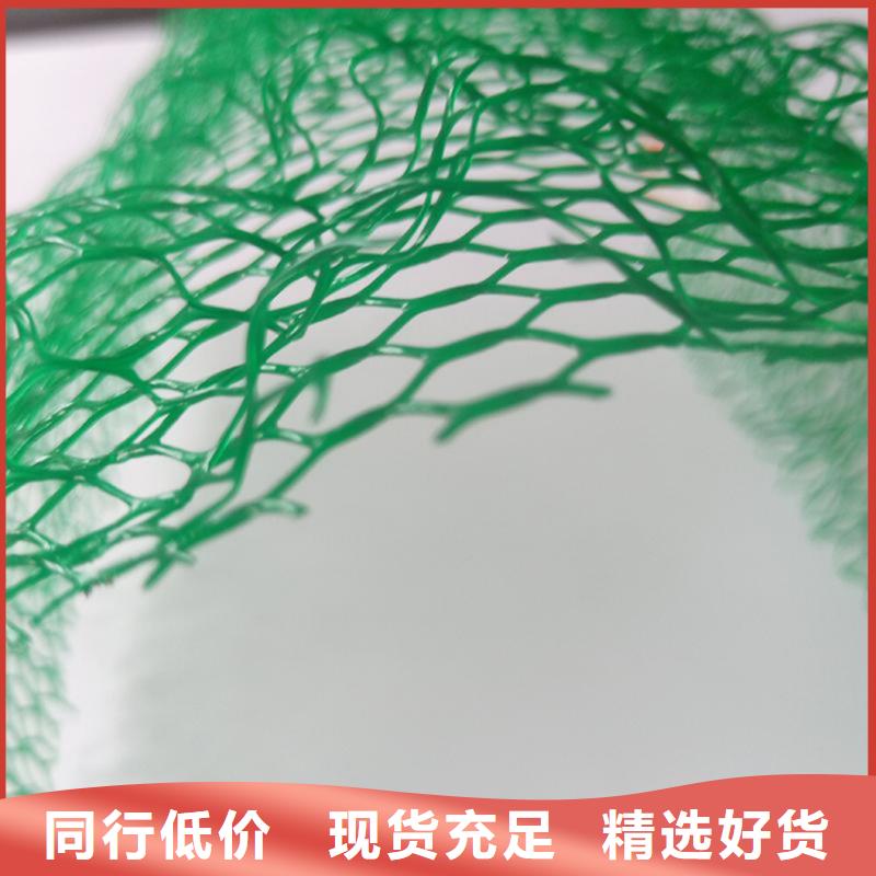 三维植被网,玻纤格栅打造行业品质