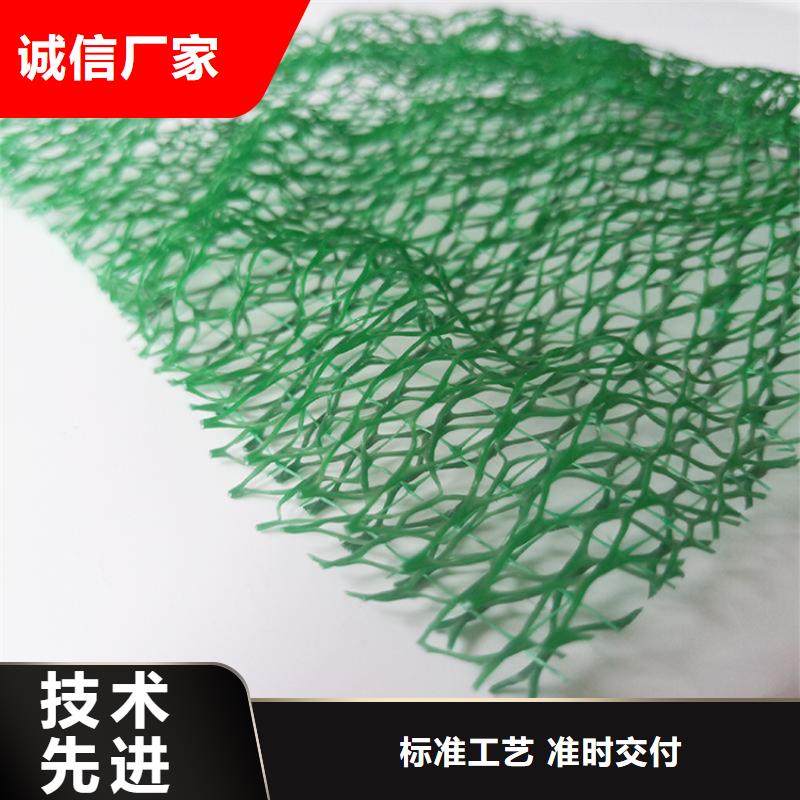 三维植被网软式透水管精工打造