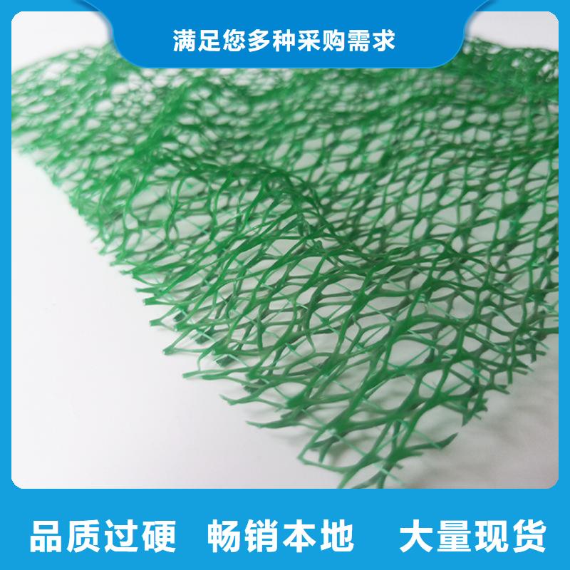 三维植被网双向塑料土工格栅专注品质