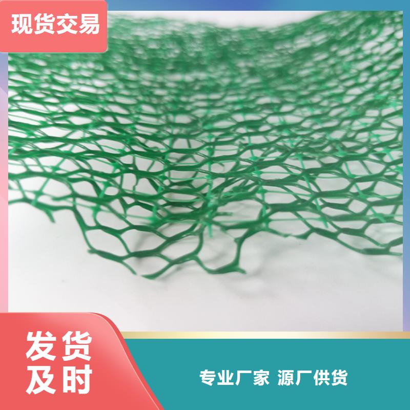 三维植被网-土工膜好产品不怕比