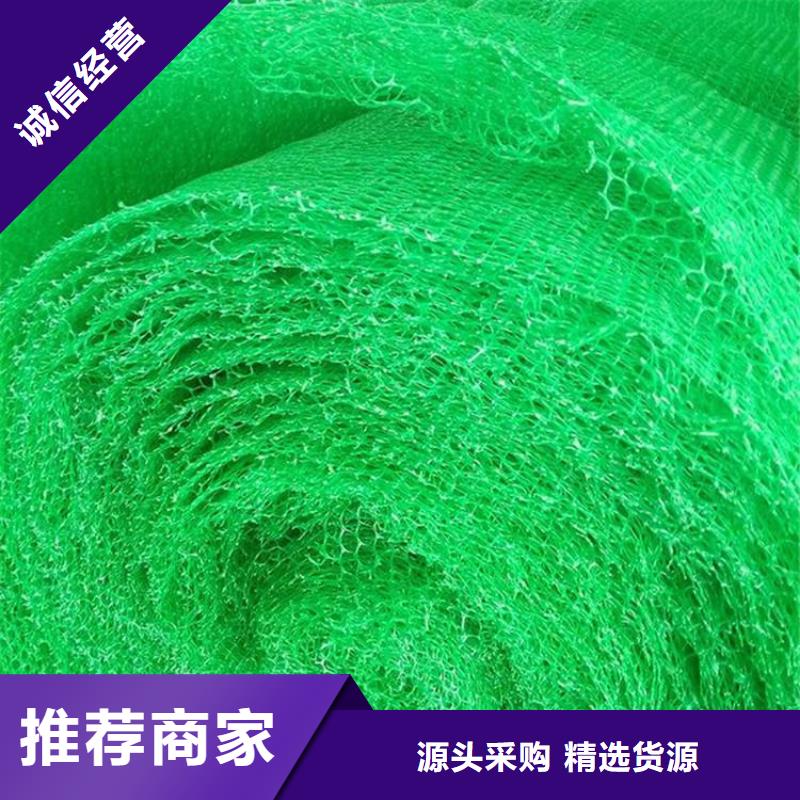 三维植被网,玻纤格栅打造行业品质
