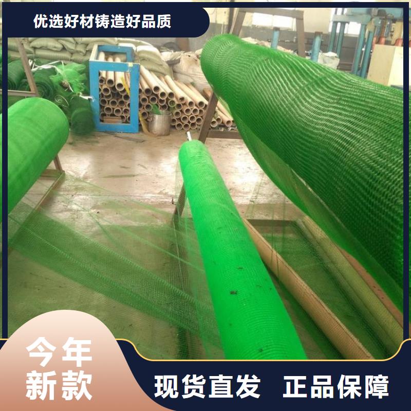 三维植被网编织布现货批发