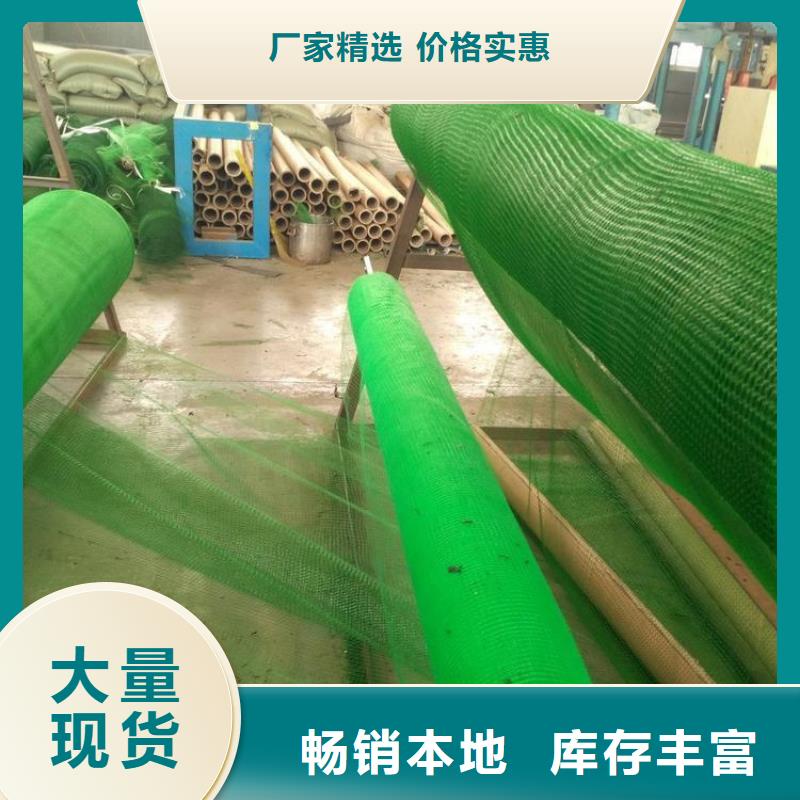 三维植被网防裂贴讲信誉保质量
