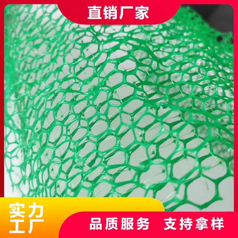 三维植被网螺旋管现货齐全售后无忧