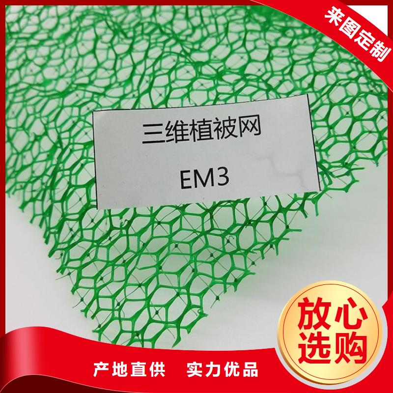 三维植被网生态带大量现货供应