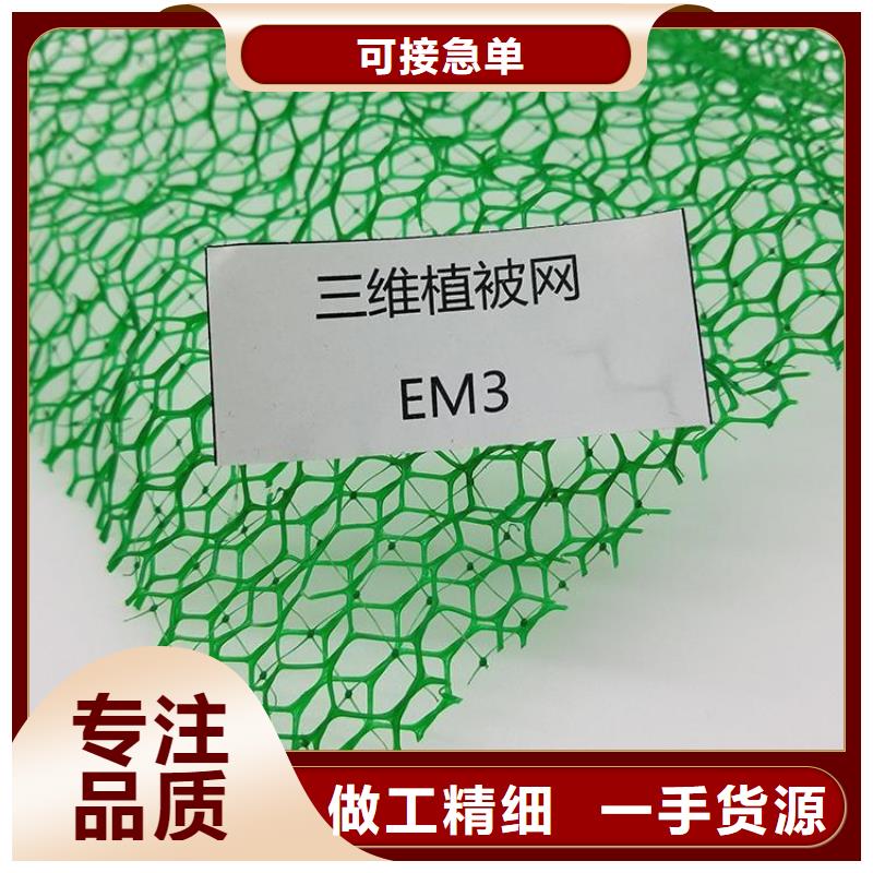三维植被网土工格栅匠心工艺