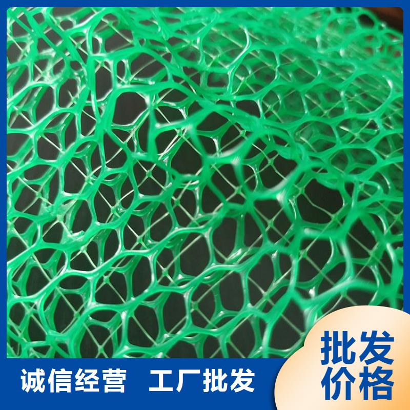 三维植被网软式透水管价格透明