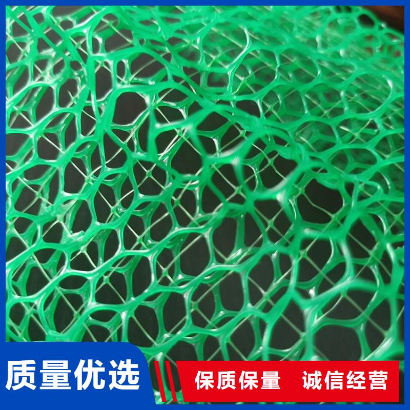 三维植被网【玻纤土工格栅】实力雄厚品质保障