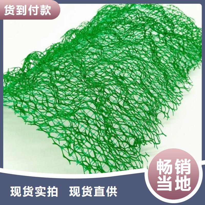 【三维植被网】双向土工格栅厂家销售