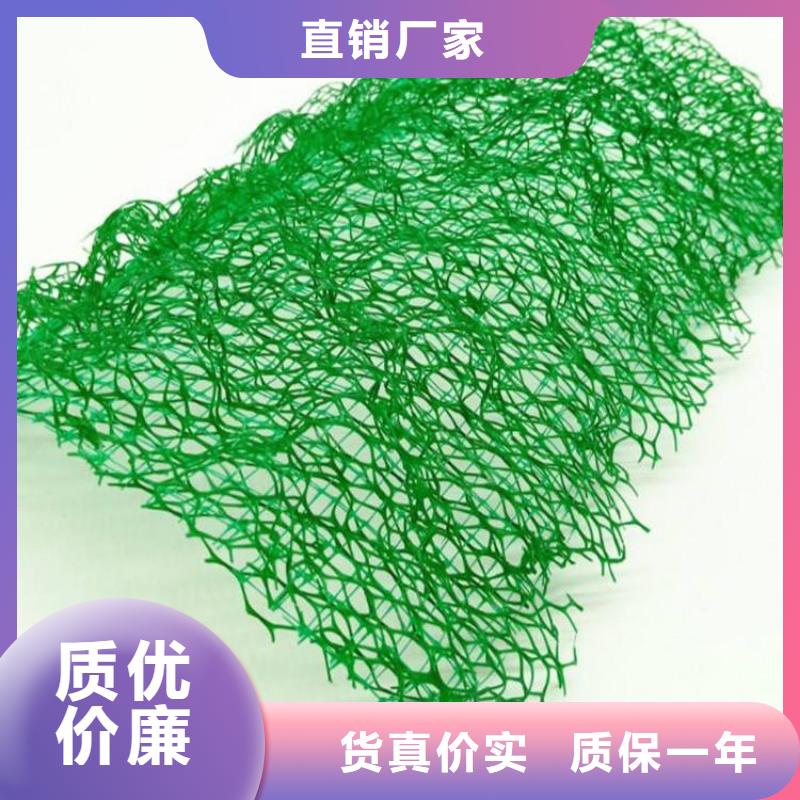三维植被网-玻纤格栅产品性能