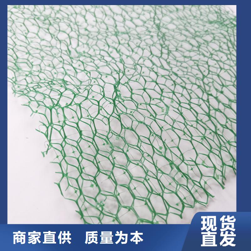 三维植被网【土工格栅】严格把控每一处细节