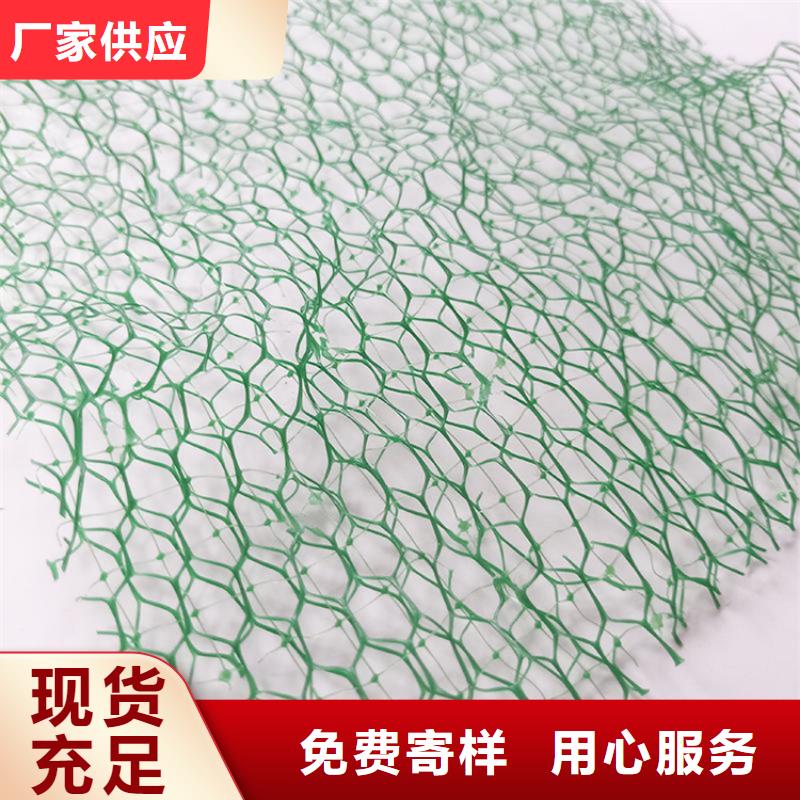 三维植被网软式透水管价格透明