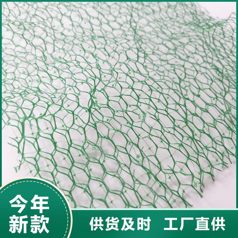 三维植被网【玻纤土工格栅】实力雄厚品质保障