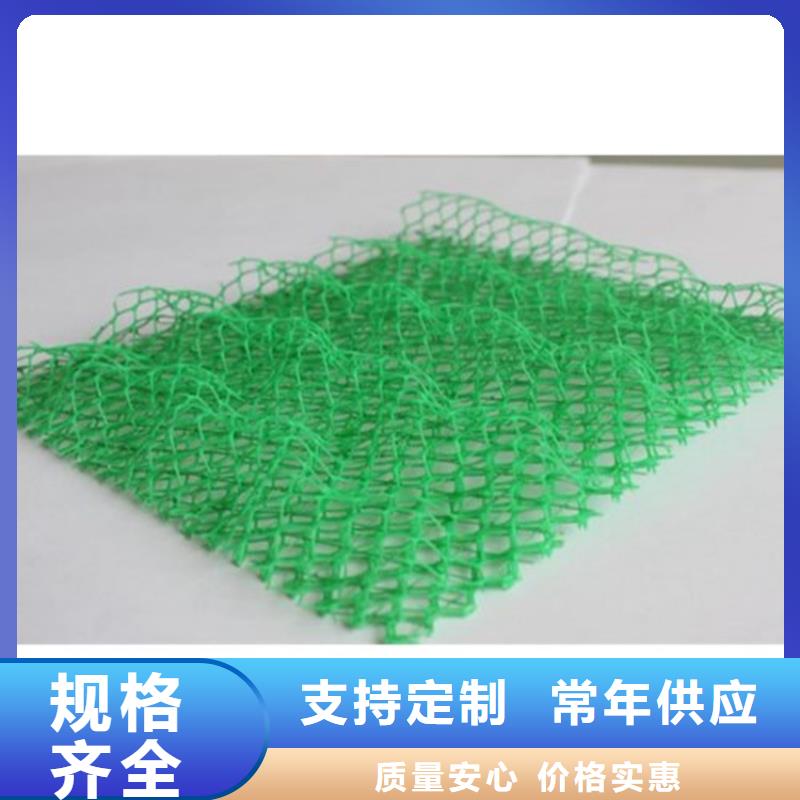 三维植被网HDPE土工膜源头厂家直销