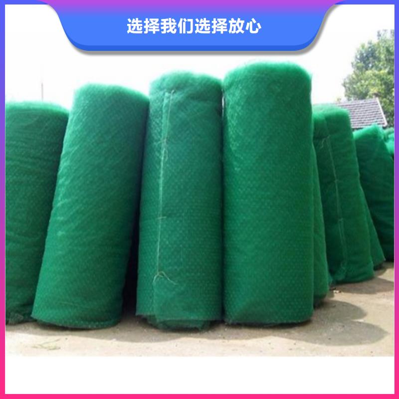 三维植被网-土工膜好产品不怕比