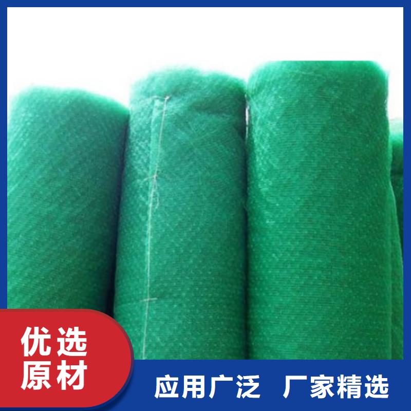 三维植被网土工格栅精品优选