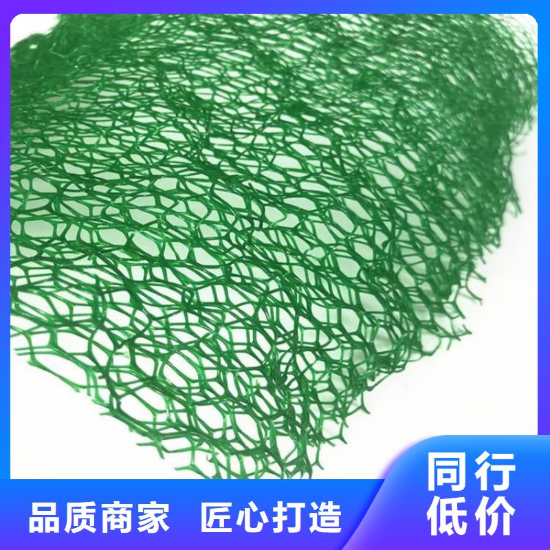 三维植被网,土工膜助您降低采购成本
