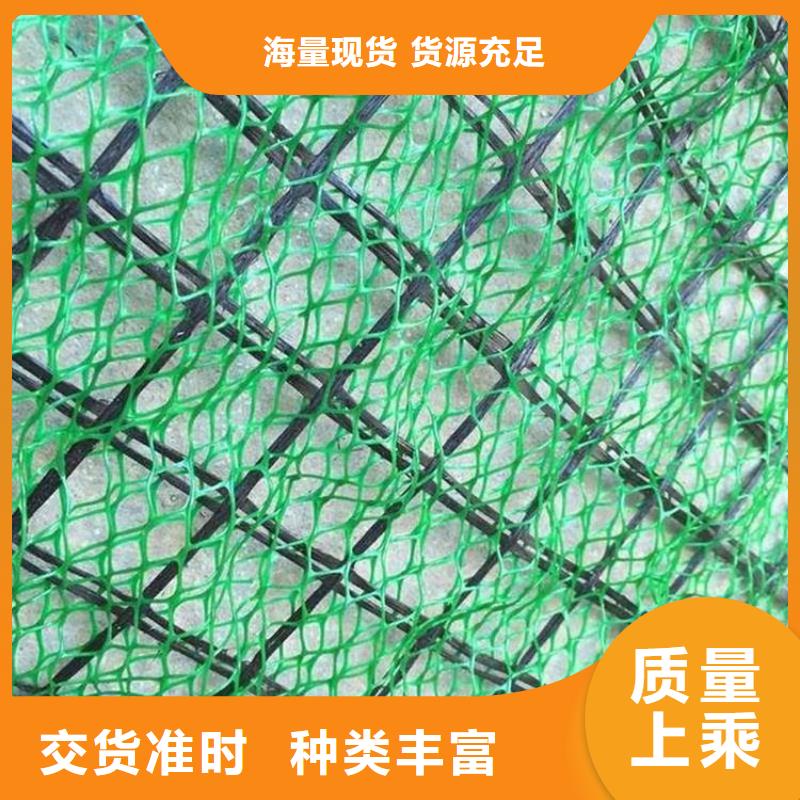 三维植被网【玻纤土工格栅】实力雄厚品质保障