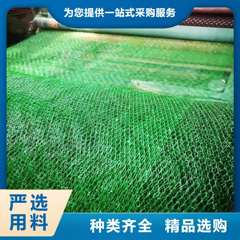 三维植被网编织布现货批发