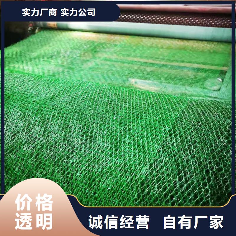 三维植被网网格布工厂批发