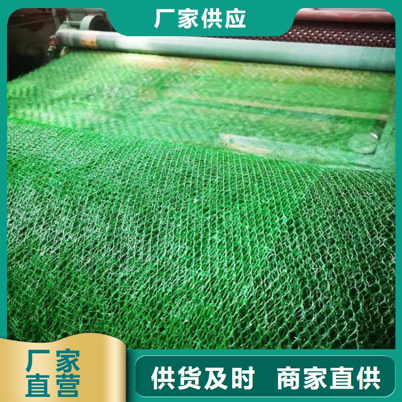【三维植被网-钢塑土工格栅价格实惠】