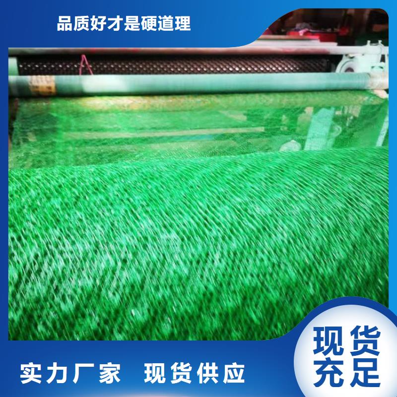 三维植被网植草格联系厂家