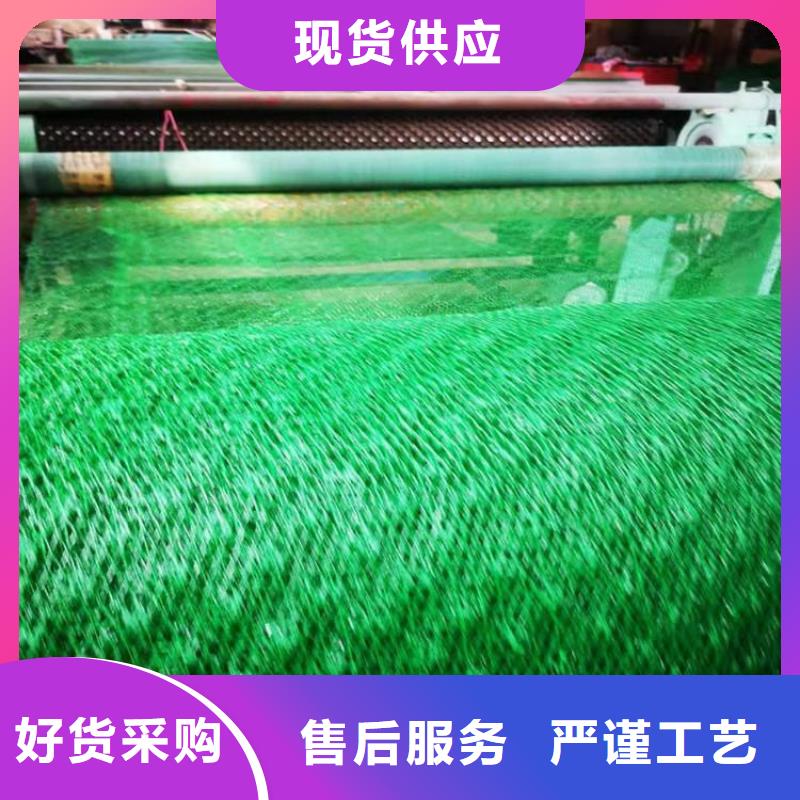 三维植被网,双向土工格栅海量货源