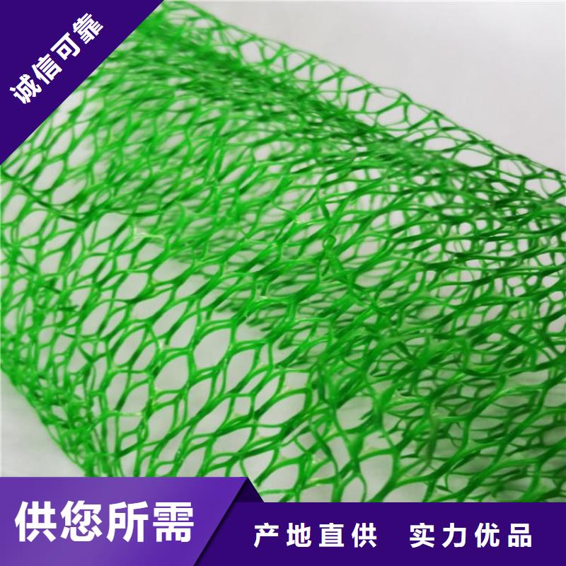 三维植被网植草格联系厂家