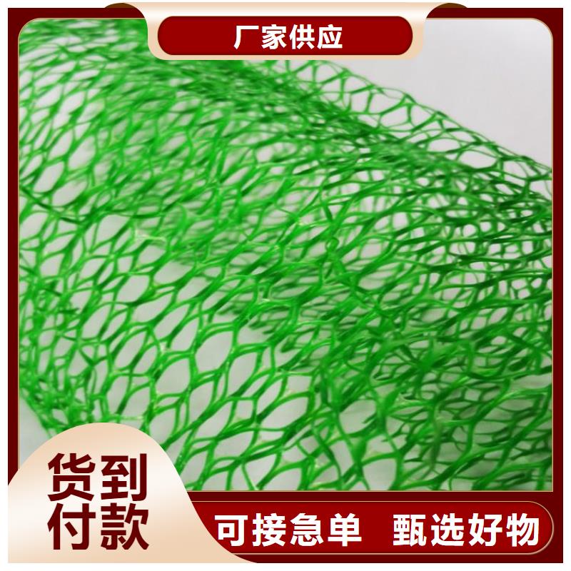 三维植被网-【土工膜】大品牌值得信赖