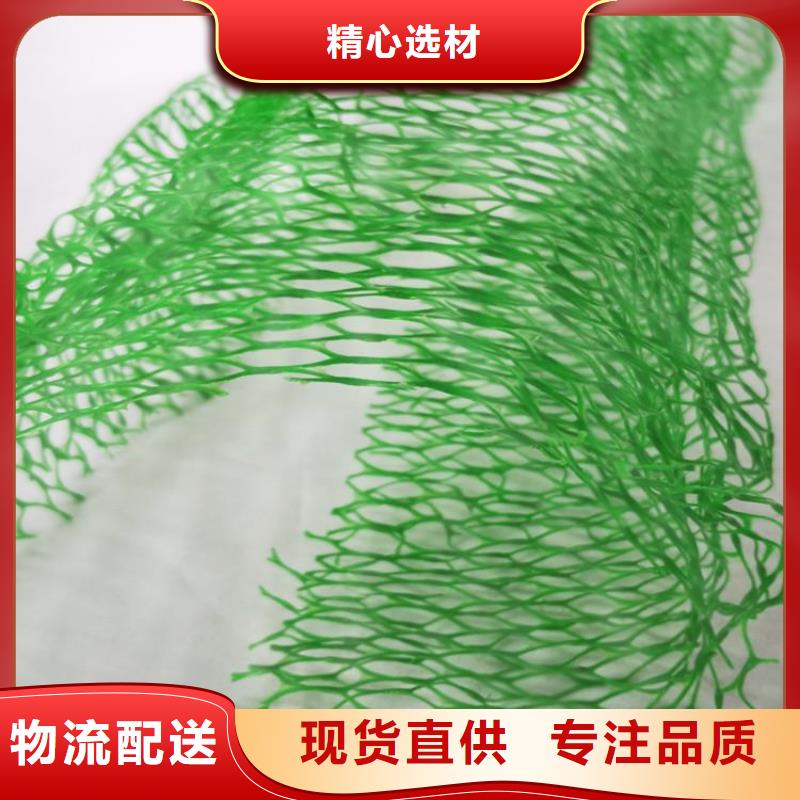 三维植被网土工膜高性价比