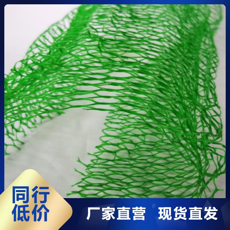 三维植被网【双向塑料土工格栅】物流配送