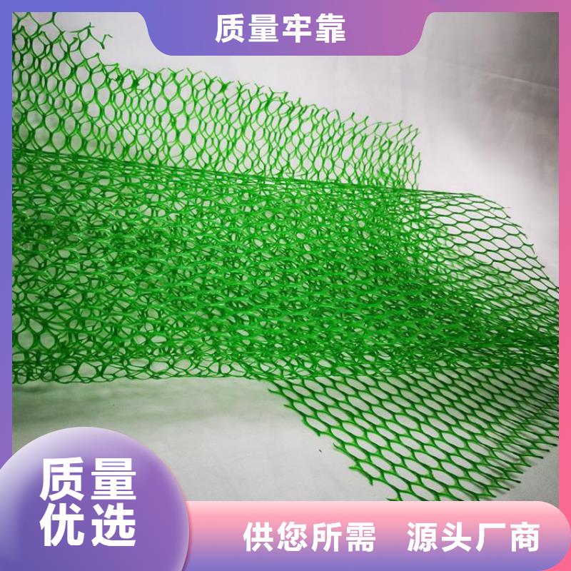 三维植被网【玻纤土工格栅】实力雄厚品质保障
