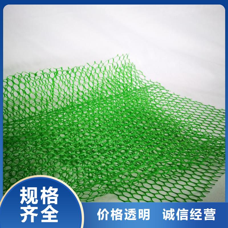三维植被网编织布现货批发