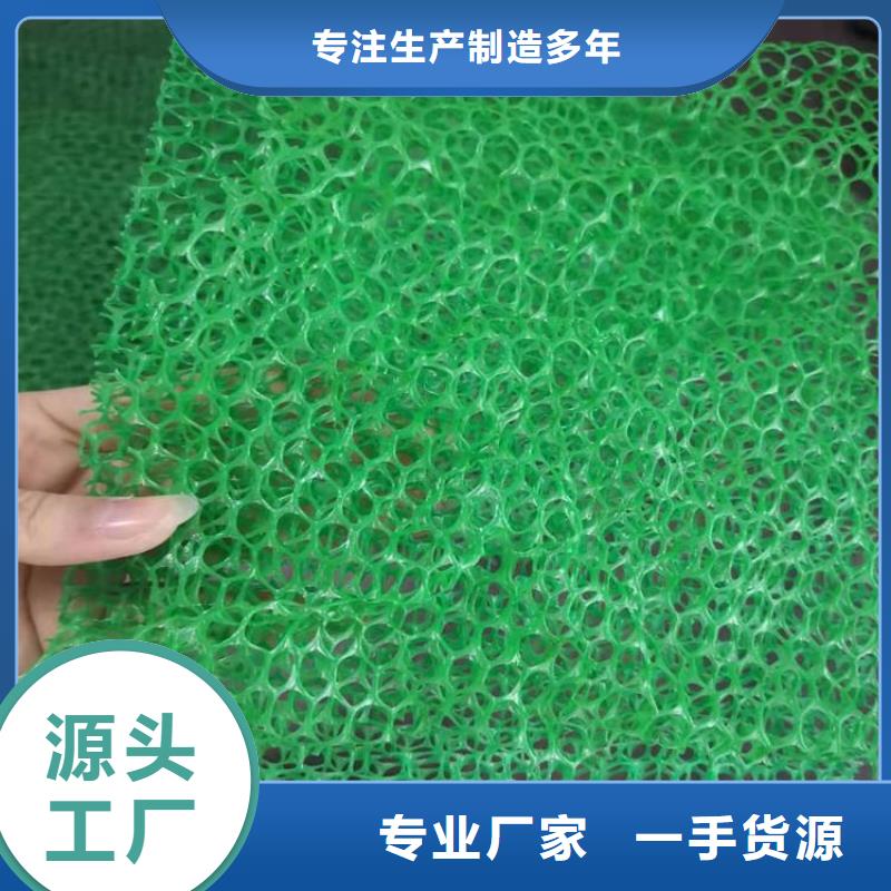 三维植被网-【土工膜】大品牌值得信赖