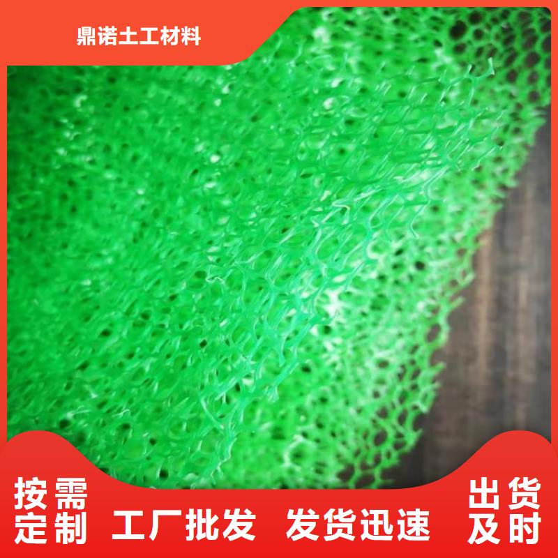 三维植被网-【土工膜】大品牌值得信赖