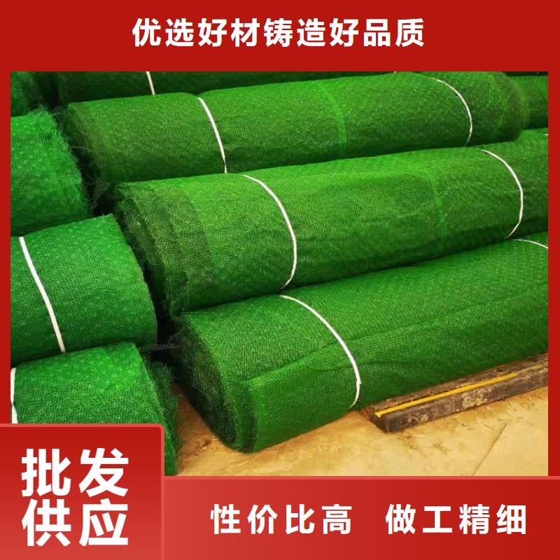 【三维植被网】玻纤格栅厂家案例
