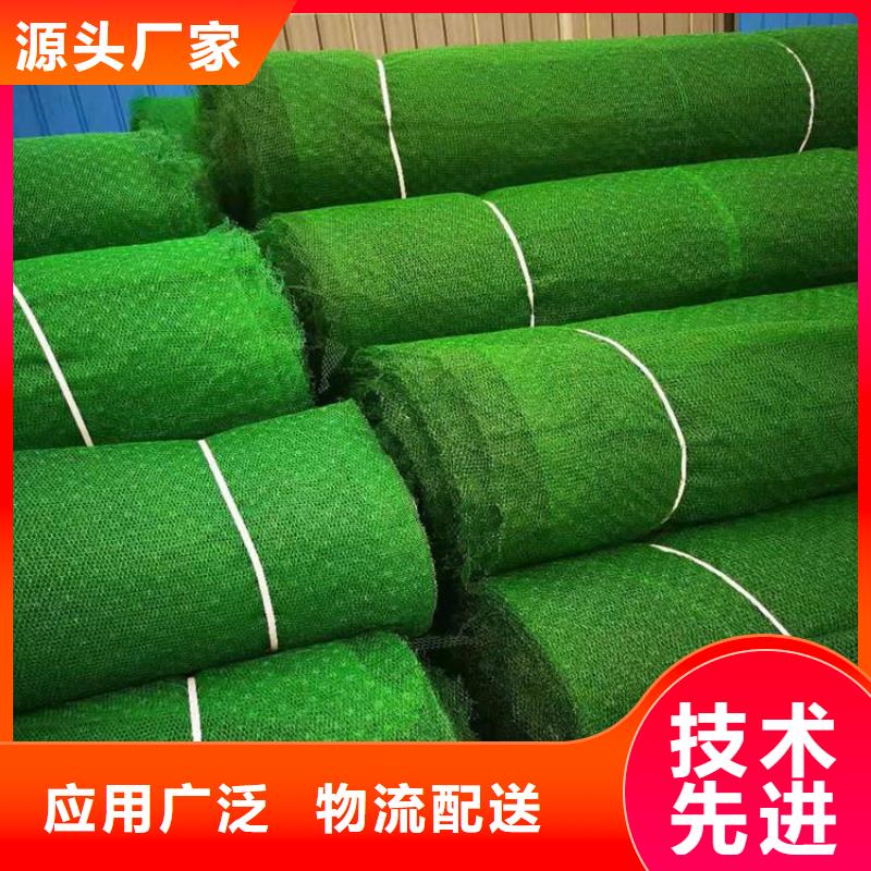 三维植被网-玻纤格栅实力厂家直销