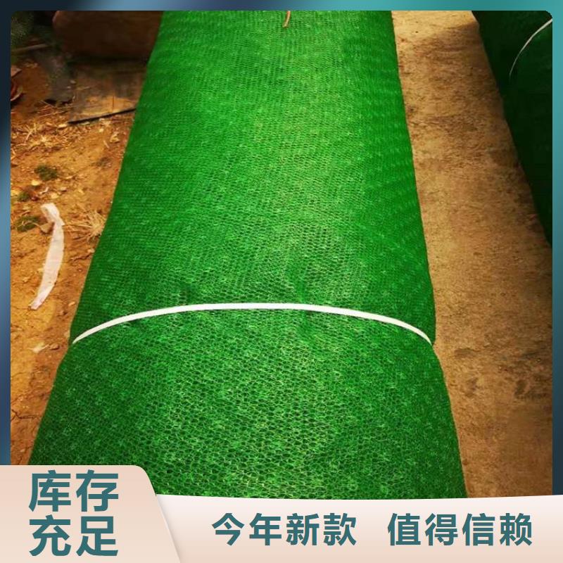 三维植被网防裂贴讲信誉保质量