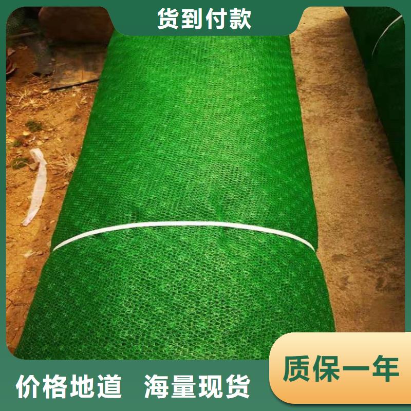 三维植被网软式透水管精工打造