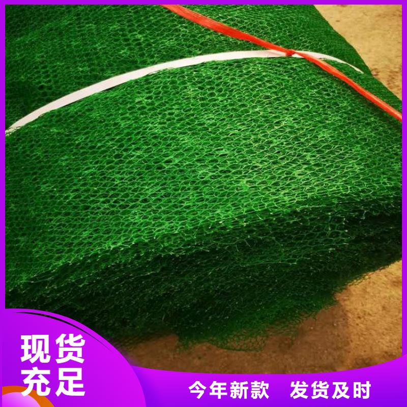 三维植被网土工膜高性价比
