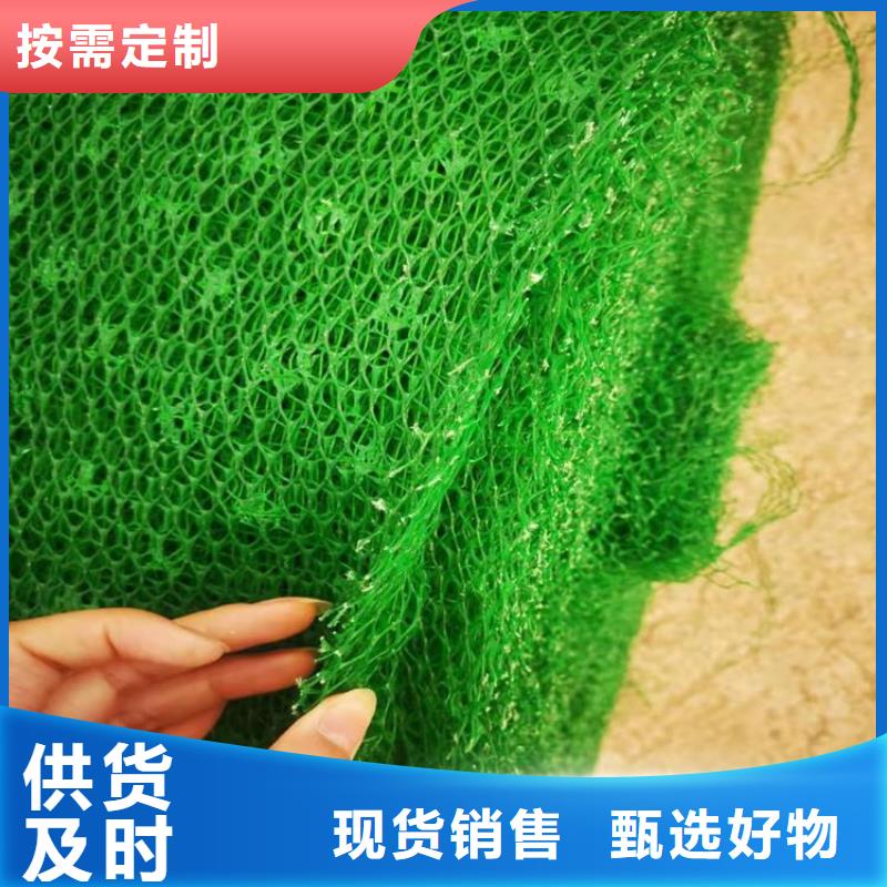三维植被网土工布生产厂家