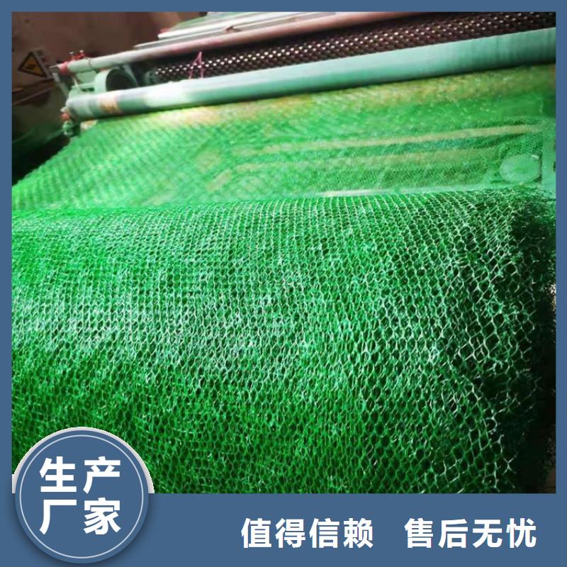 【三维植被网】双向土工格栅厂家销售