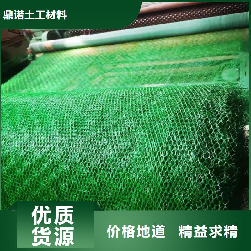 三维植被网生态带大量现货供应