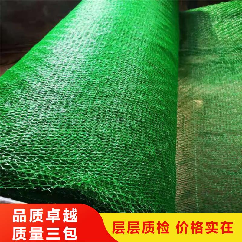 三维植被网【双向塑料土工格栅】物流配送